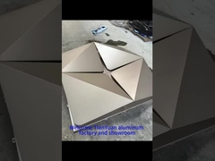 Aluminum mesh case -11